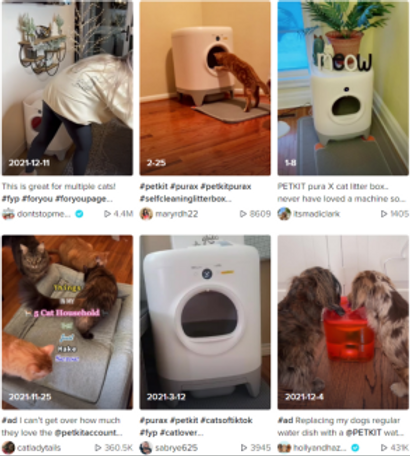 黑科技养宠时代，国内头部宠物品牌的出海之路