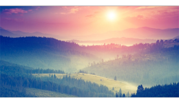 如何使用Twitter推广自己的外贸网站