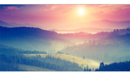 如何使用Twitter推廣自己的外貿(mào)網(wǎng)站