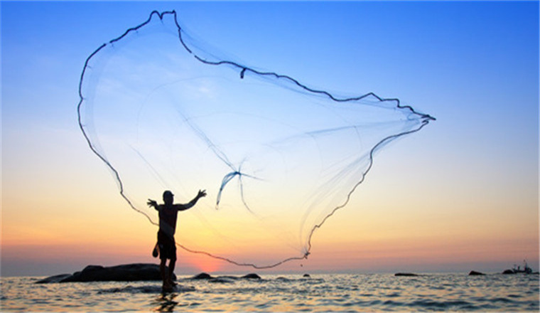 2022年的黑五，多了“马粪”、“世界杯”，还多了……