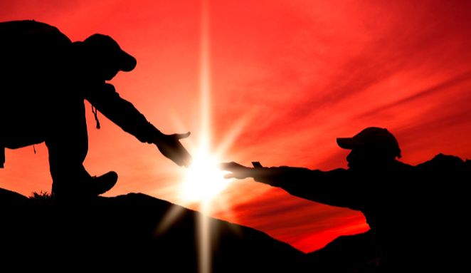 10月在国外是个喂狗粮的月份，别错过这个市场！