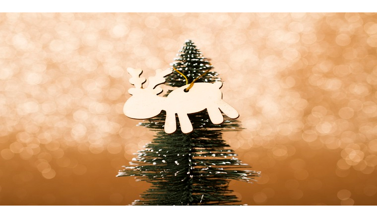 芬兰过圣诞节吗，圣诞节的装饰有哪些