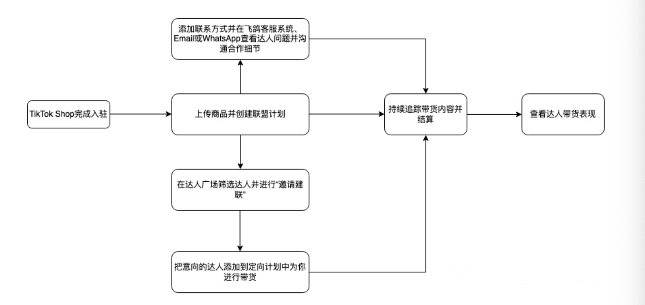 TikTok店群带货出单实操全揭秘！