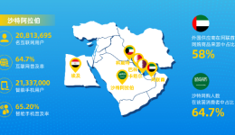 新冠疫情常态化背景下,你真的了解中东电商市场吗?