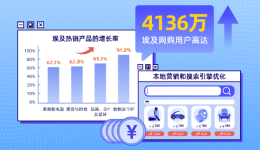 掘金中东北非之埃及电商现状全剖析