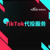 TikTok广告代投放
