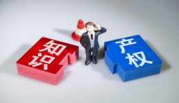 免費(fèi)檢索！涵蓋全球存量商標(biāo)2700萬(wàn)+，在線實(shí)時(shí)更新，3秒搞定！