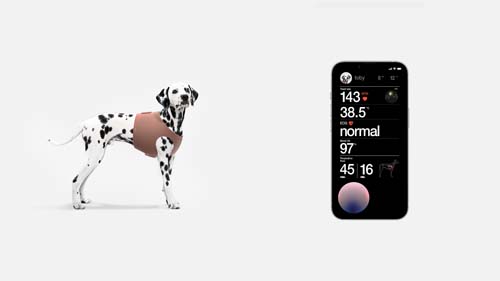 CES 2023：最佳创新、高尖技术！200+未来黑科技（上）