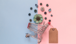 彩妆品类销售暴涨85%!2023年11街品类报告