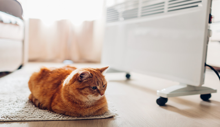 销量压倒性增长！取暖设备在韩国电商TMon备受欢迎