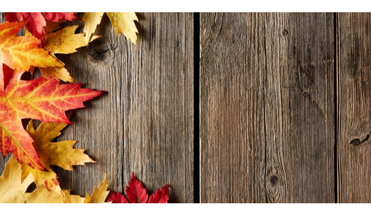 TIKTOK印尼本土MCN机构怎么申请