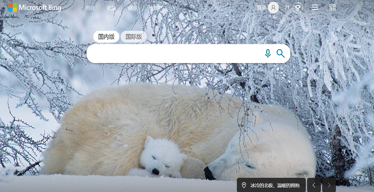 新必应(New Bing)国内申请与使用教程