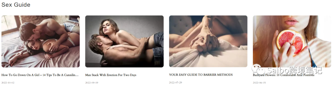 一文带你解决成人用品出海（上）建站篇