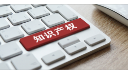 第二届CCBEC中国（深圳）跨境电商发展峰会-知识产权专场论坛圆满举行！