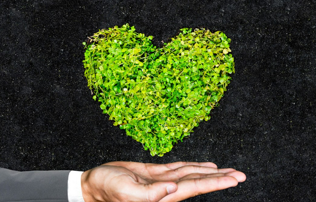 美国服装市场分析，新年的突破点在哪里