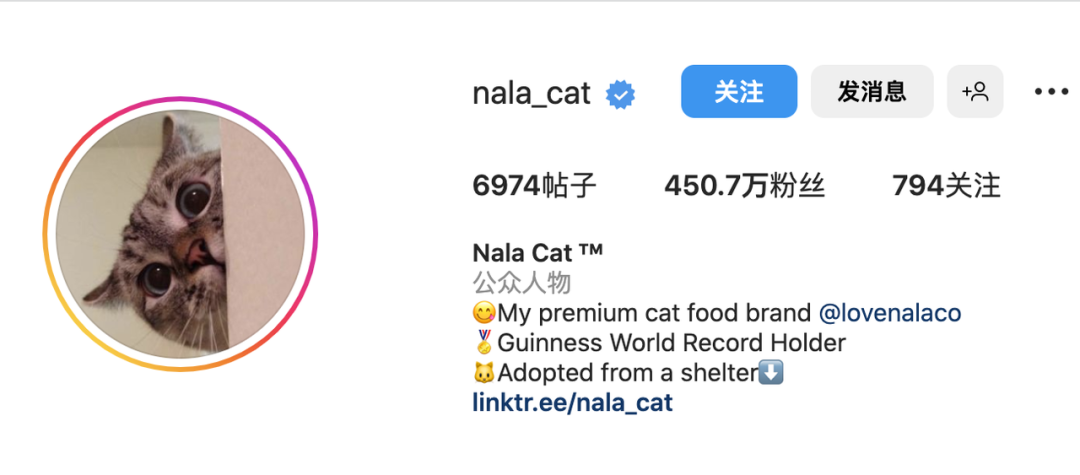 上百万人关注!马斯克“任命”狗狗总裁,今年宠物市场蓄势待发了