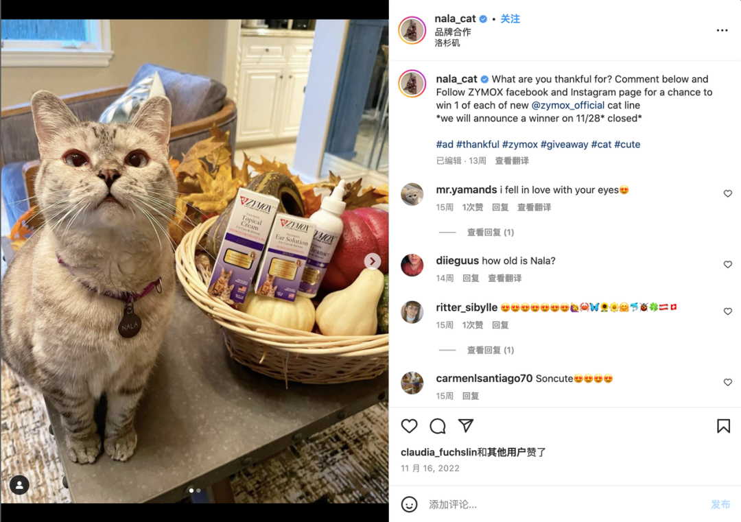 上百万人关注!马斯克“任命”狗狗总裁,今年宠物市场蓄势待发了