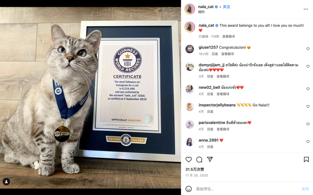 上百万人关注!马斯克“任命”狗狗总裁,今年宠物市场蓄势待发了