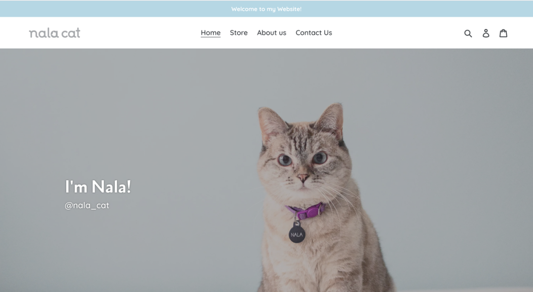 上百万人关注!马斯克“任命”狗狗总裁,今年宠物市场蓄势待发了