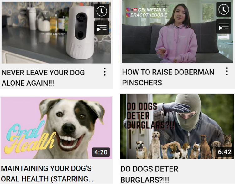 上百万人关注!马斯克“任命”狗狗总裁,今年宠物市场蓄势待发了