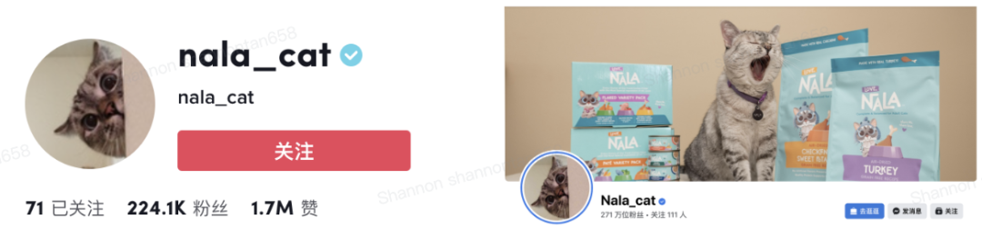 上百万人关注!马斯克“任命”狗狗总裁,今年宠物市场蓄势待发了