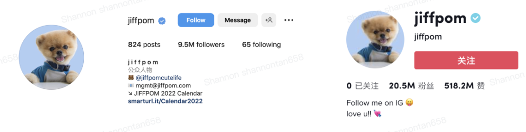 上百万人关注!马斯克“任命”狗狗总裁,今年宠物市场蓄势待发了