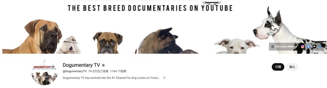 上百万人关注!马斯克“任命”狗狗总裁,今年宠物市场蓄势待发了