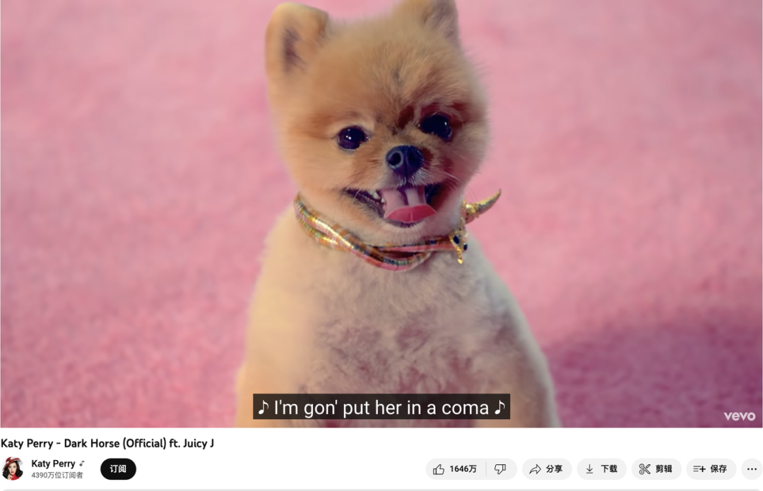 上百万人关注!马斯克“任命”狗狗总裁,今年宠物市场蓄势待发了