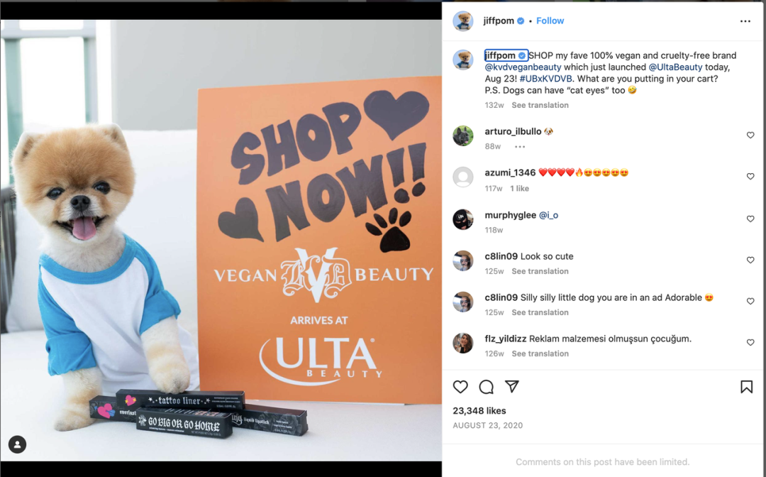 上百万人关注!马斯克“任命”狗狗总裁,今年宠物市场蓄势待发了