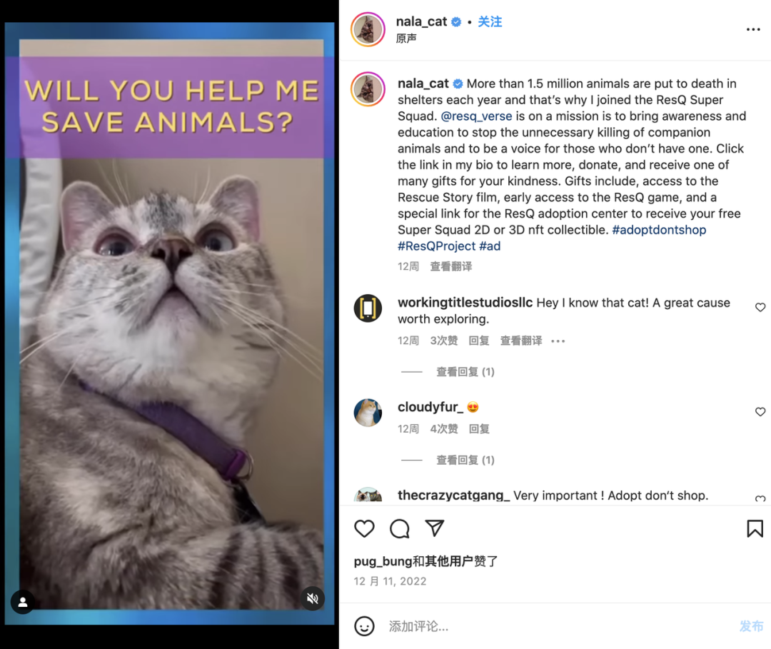 上百万人关注!马斯克“任命”狗狗总裁,今年宠物市场蓄势待发了