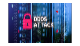 300000美元或免遭損失！網(wǎng)站安全，如何躲避“懸頂之劍”？