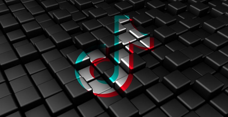 
TikTok公会办理需要什么材料，TikTok公会代办的注意事项