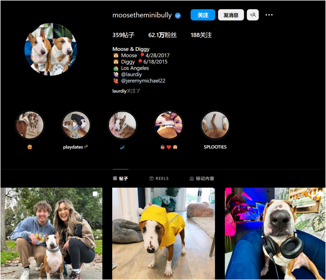 她是全网超红手作娘之一，坐拥粉丝两千万！