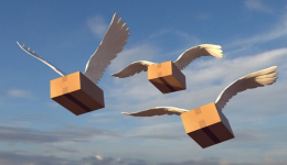 wish包装要求有哪些，wish物流规则是什么