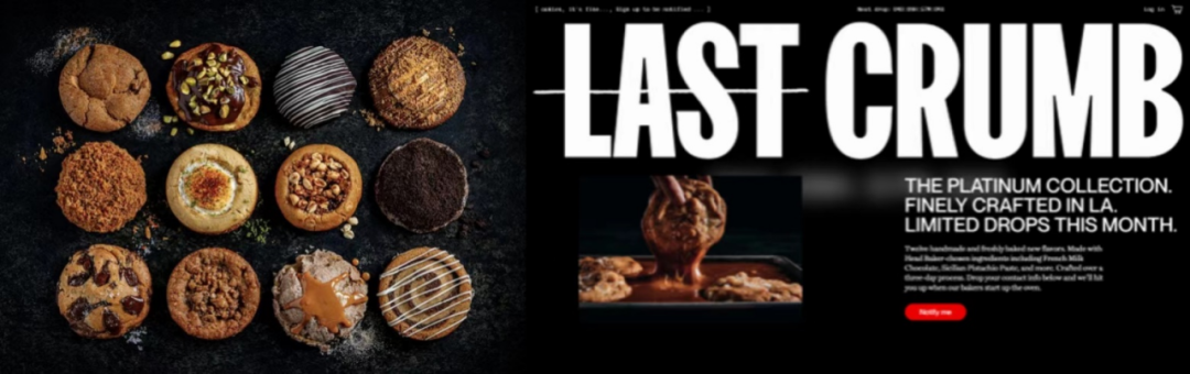 出海品牌怎么做？看看这几个DTC营销新玩法！