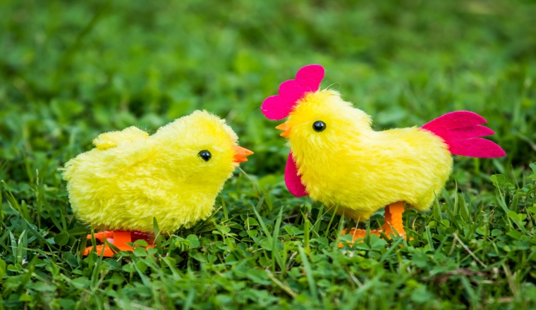 复活节小鸡玩具火遍全网，你知道它们是怎么来到你手中的吗？