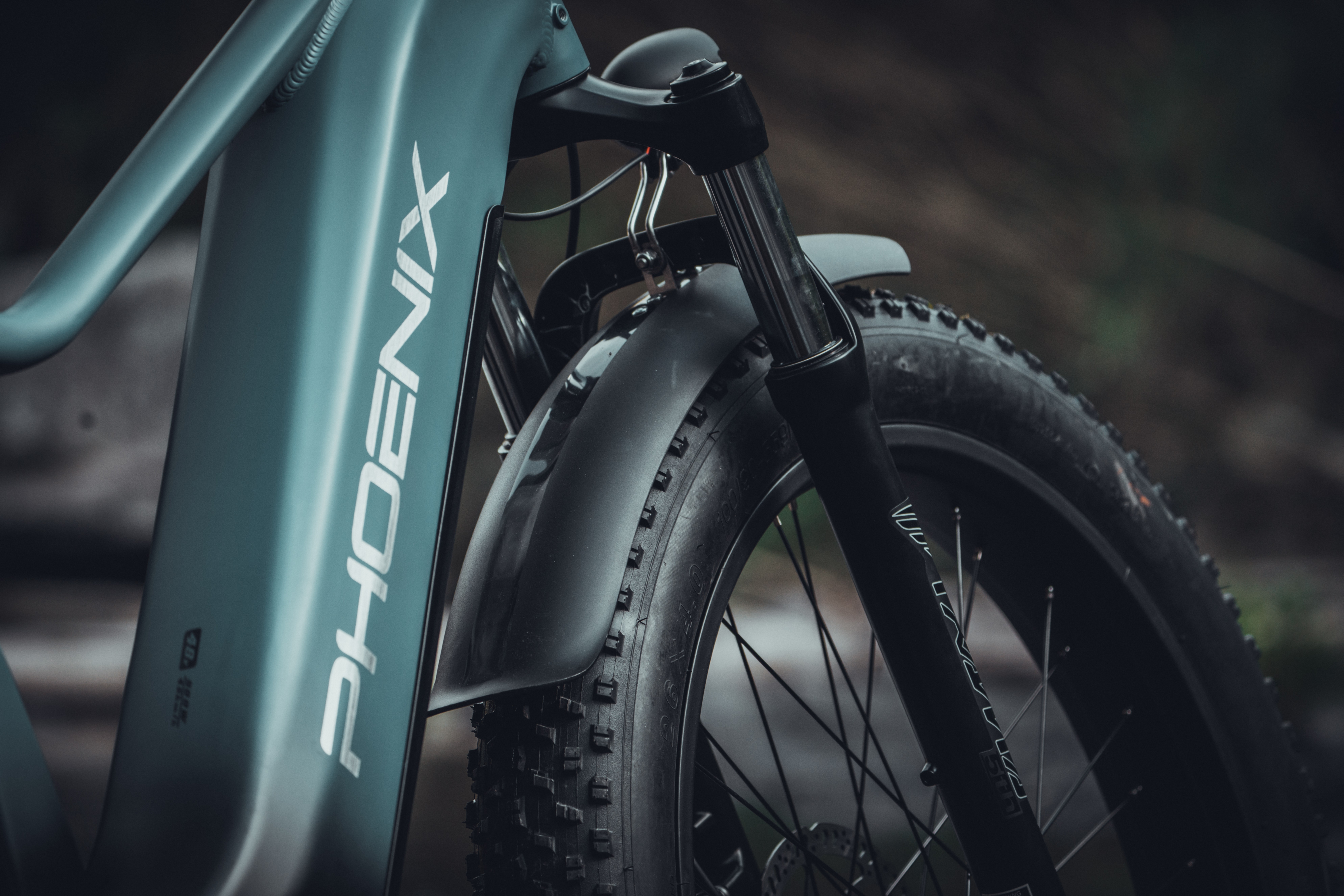 凤凰自行车：老牌国货的出海新故事