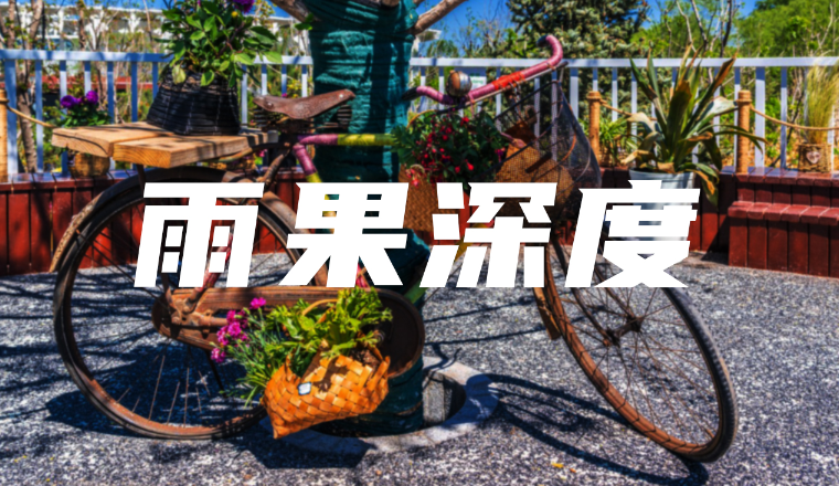 凤凰自行车：老牌国货的出海新故事