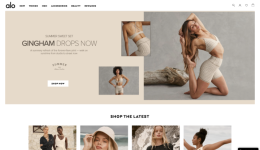 年入超2.5亿美元！Alo Yoga凭什么连续三年保持三位数增长?