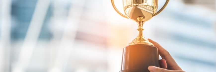 大健云仓荣获2023年史蒂夫®美国商业奖