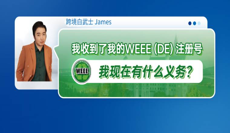 我收到了我的WEEE(DE)注册号，我现在有什么义务？