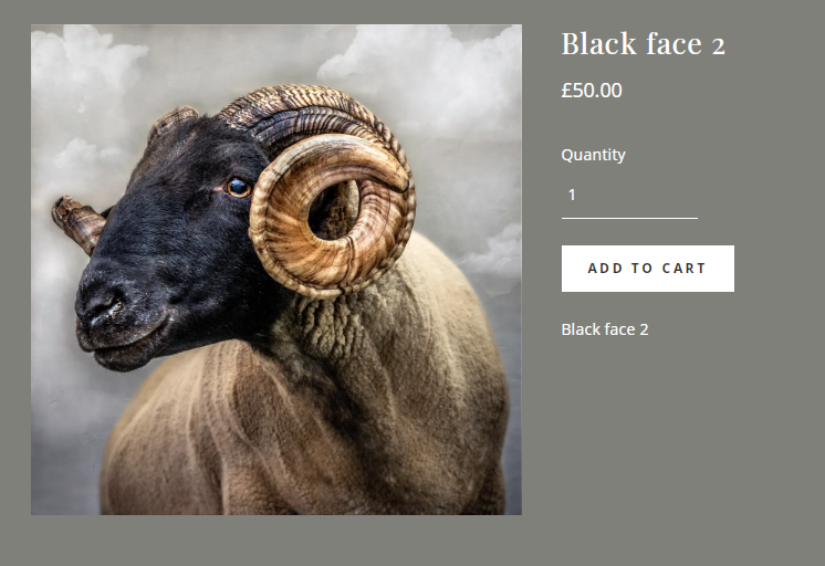 避雷！这些图案千万不要用！又两起版权画侵权案件！