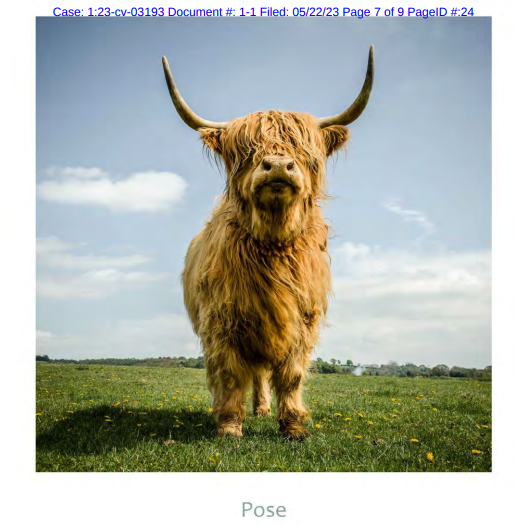 避雷！这些图案千万不要用！又两起版权画侵权案件！