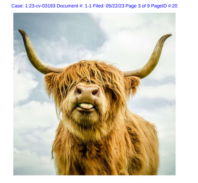 避雷！这些图案千万不要用！又两起版权画侵权案件！