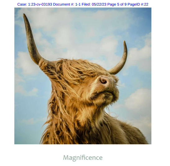 避雷！这些图案千万不要用！又两起版权画侵权案件！