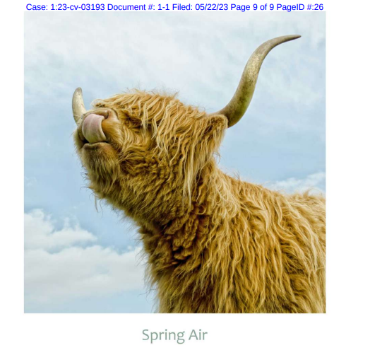 避雷！这些图案千万不要用！又两起版权画侵权案件！