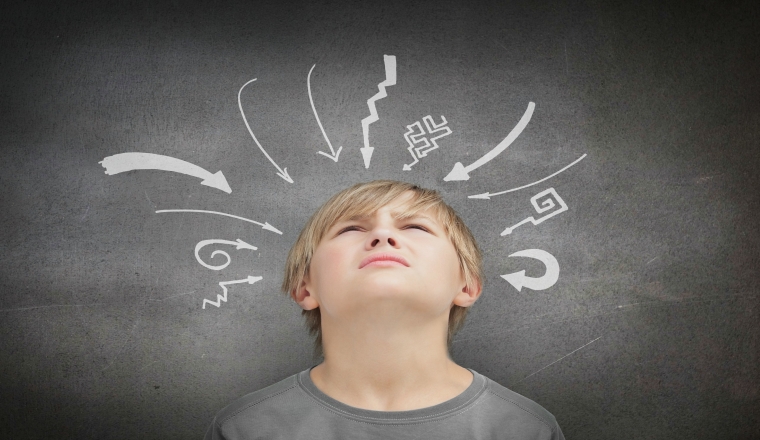 宠物赛道:如何打造小而美的垂直店铺?