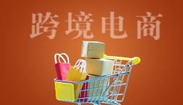 Lazada6.6大促跨境首日战报