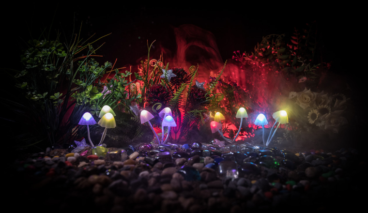 手工蘑菇灯走红TikTok，一盏卖450美元？