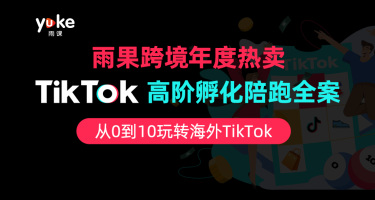 TikTok高阶孵化陪跑全案